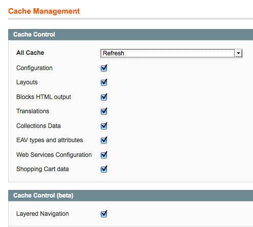 Tick all the boxes and refresh the Magento cache.